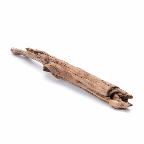 Driftwood No.8 (22"Long)