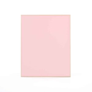 Pink Flamingo Acrylic 24x30 137